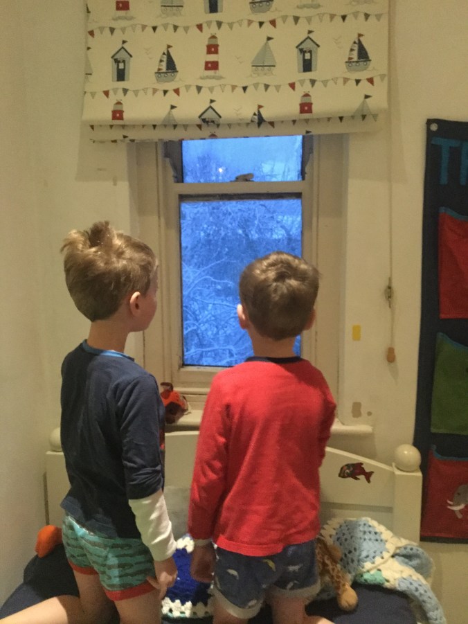 08593568-0877-4FB2-B8AE-1754EC83C3F3